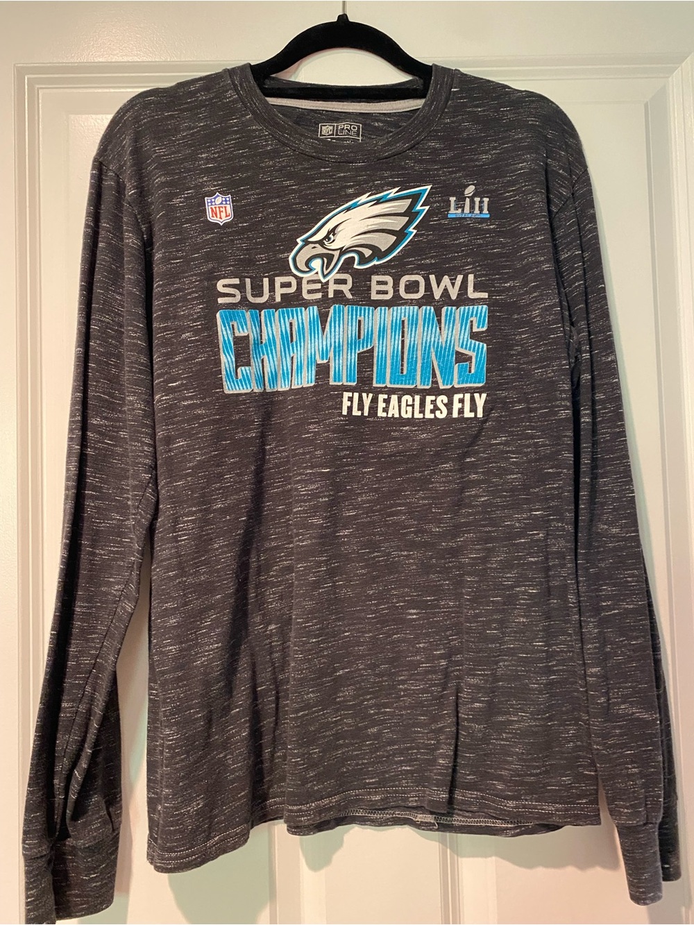Fanatics Gray Long-Sleeve Super Bowl Champions Tee with Teal Accents